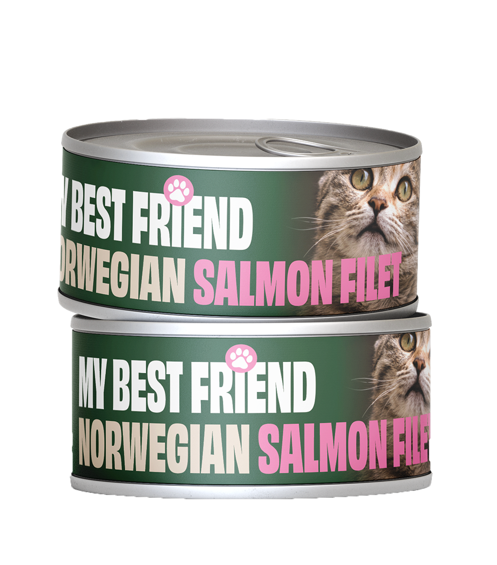 Norwegian Pet Food salmon filets