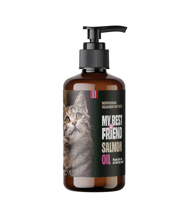 Salmon Oil for Cats